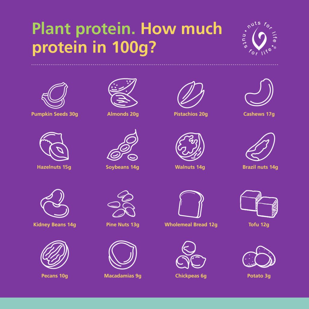 nuts are good plant-based sources of protein